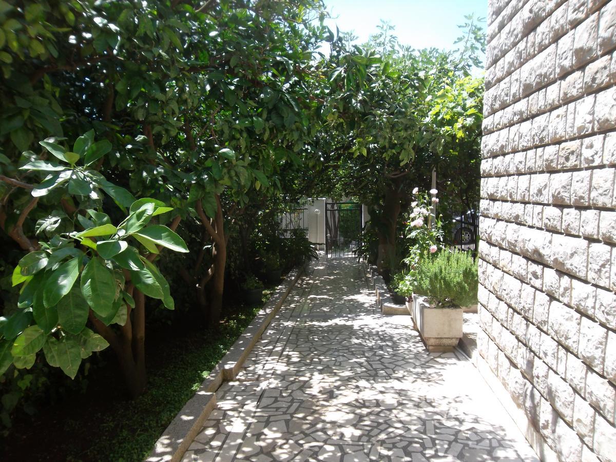 Guest House 4M Petrovac Dış mekan fotoğraf