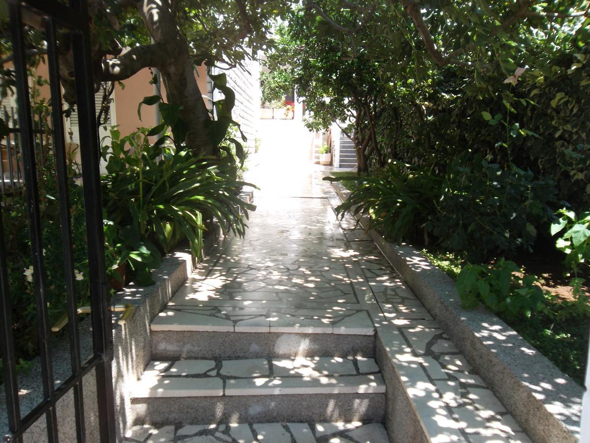 Guest House 4M Petrovac Dış mekan fotoğraf